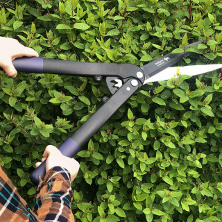 Loppers & Shears
