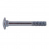 Coach Bolt M10 with Nut