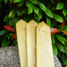 Pointed Picket Fencing Smooth